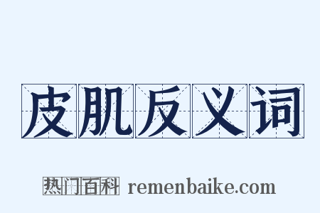 皮肌反义词是什么意思的图片
